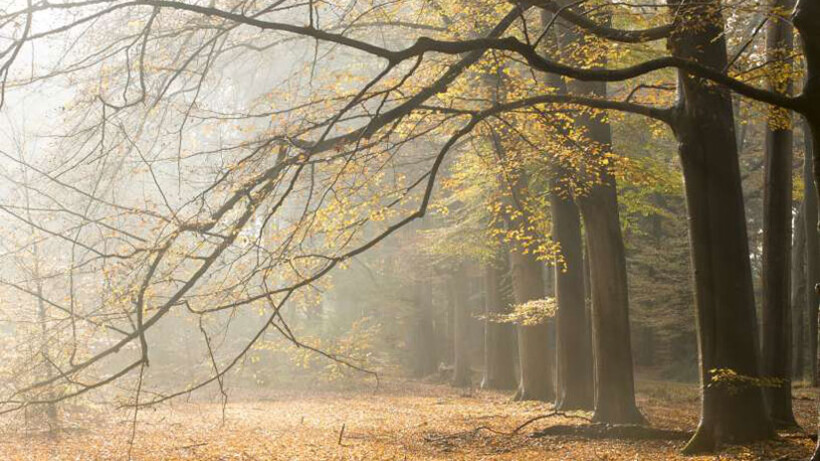 Fietsroute De Witte Wieven