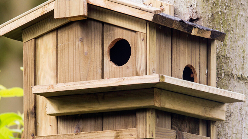 10 klussen voor meer dieren in je tuin