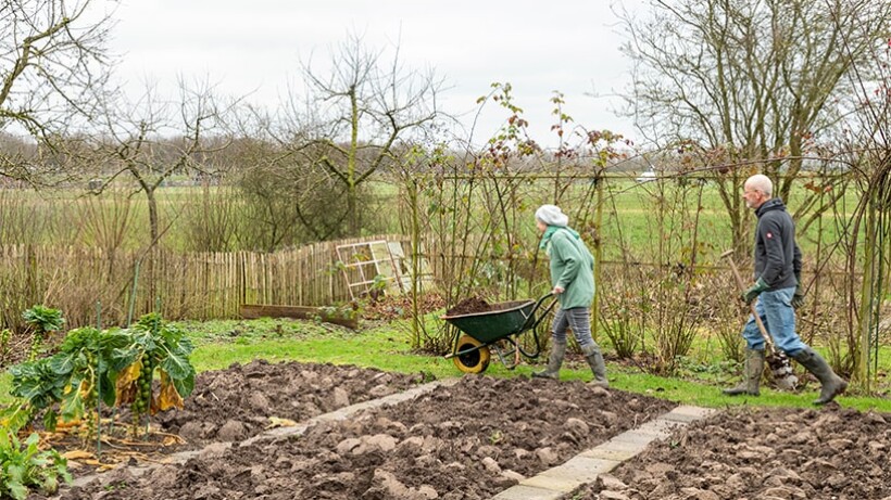 Maak je moestuin voorjaarsklaar