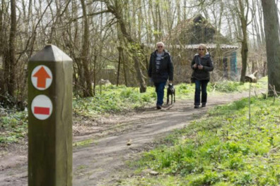 Wandeling van de maand: Groene Wissel Egmond aan den Hoef