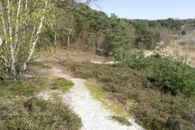 Wandeling van de maand Groene Wissel Heerlen