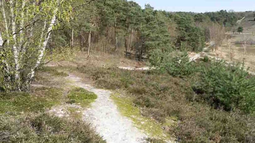 Wandeling van de maand Groene Wissel Heerlen