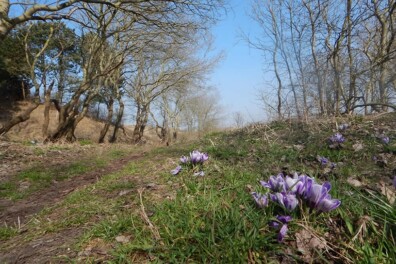 Wandeling van de maand: Trage Tocht Egmond aan den Hoef