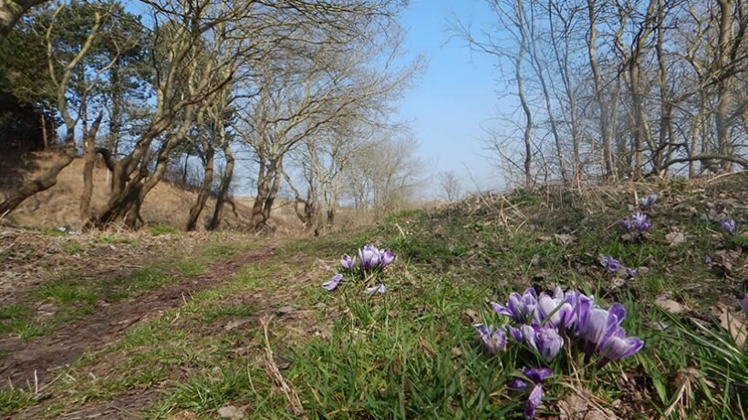 Wandeling van de maand: Trage Tocht Egmond aan den Hoef