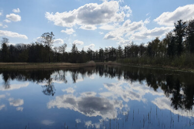 Wandeling van de maand: Trage Tocht Maliskamp