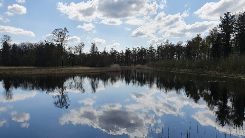 Wandeling van de maand: Trage Tocht Maliskamp