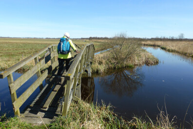 Wandeling van de maand: Trage Tocht Earnewâld