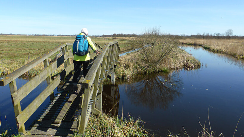 Wandeling van de maand: Trage Tocht Earnewâld