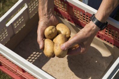 Alle recepten met aardappelen