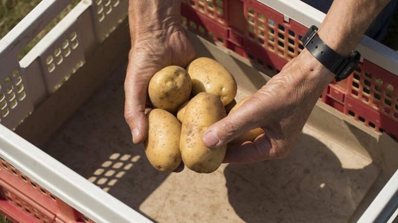 Alle recepten met aardappelen