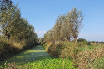 Wandeling van de maand: Trage Tocht Biezenmortel