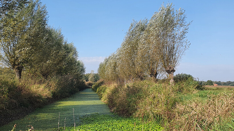 Wandeling van de maand: Trage Tocht Biezenmortel