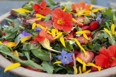 Groene tuinsalade met aardbeien