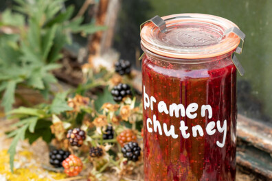 Snelle chutney van bramen