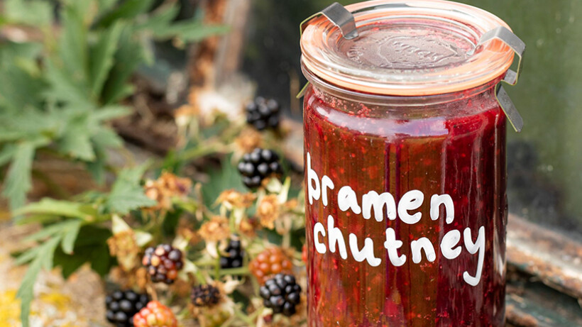 Snelle chutney van bramen