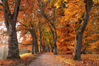 Erop uit in herfst en winter