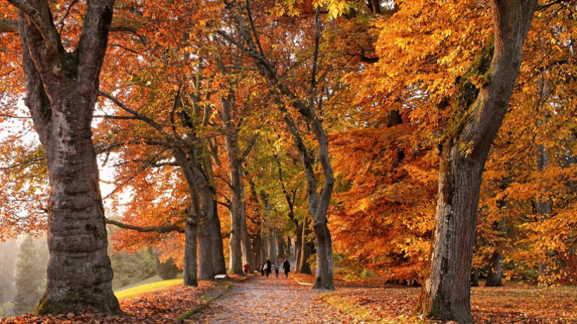 Erop uit in herfst en winter