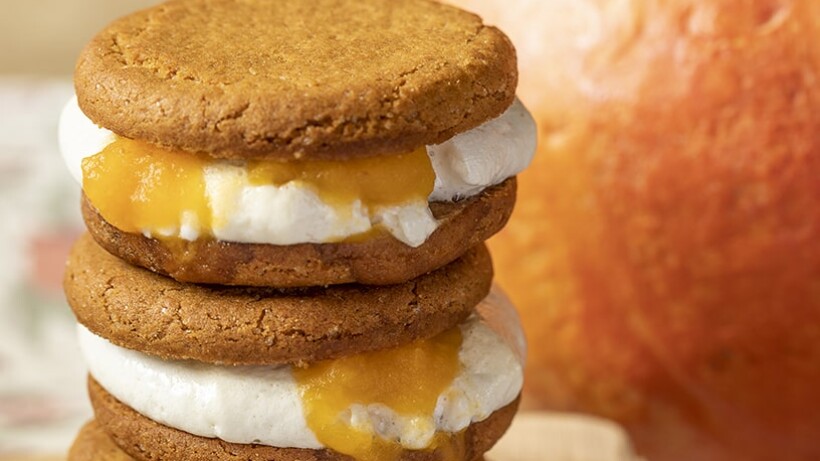 Pumpkin pie s’mores