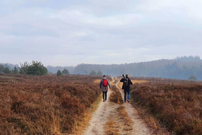 Wandeling van de maand: Trage Tocht Haarle