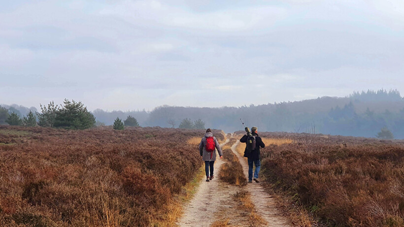 Wandeling van de maand: Trage Tocht Haarle