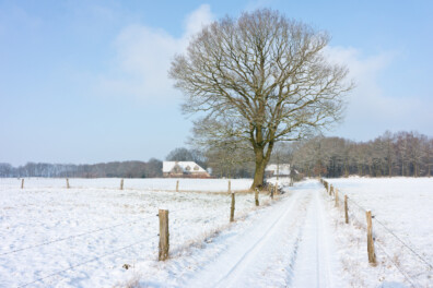 Wandeling van de maand: Groene Wissel Vasse