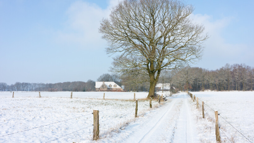 Wandeling van de maand: Groene Wissel Vasse