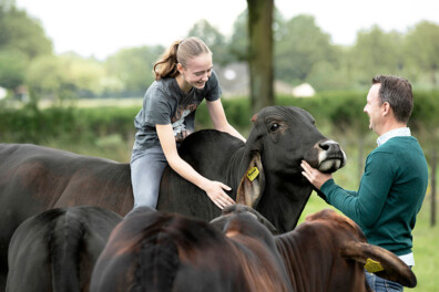 Brahmanen in Brabant