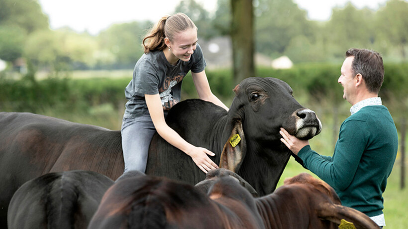 Brahmanen in Brabant