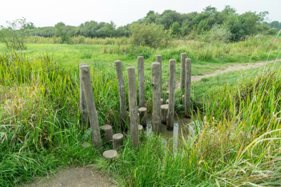 Wandeling van de maand: Groene Wissel Doezum