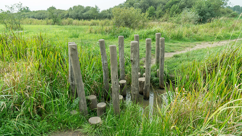 Wandeling van de maand: Groene Wissel Doezum