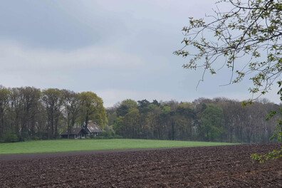 Wandeling van de maand: Trage Tocht Barchem