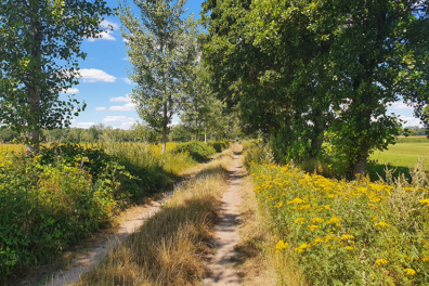 Wandeling van de maand: Trage Tocht De Mortel