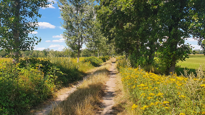 Wandeling van de maand: Trage Tocht De Mortel