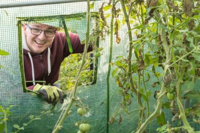 Tomatenverzorging in 8 stappen