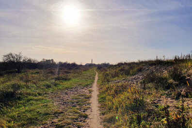 Wandeling van de maand: Trage Tocht Millingerwaard