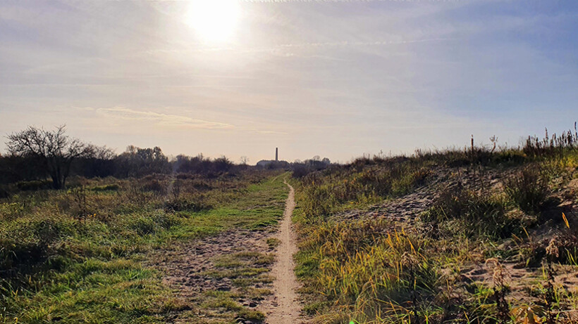 Wandeling van de maand: Trage Tocht Millingerwaard