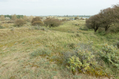 Wandeling van de maand: Groene Wissel De Zilk