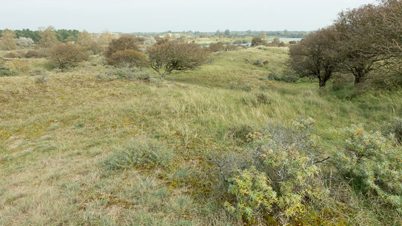 Wandeling van de maand: Groene Wissel De Zilk