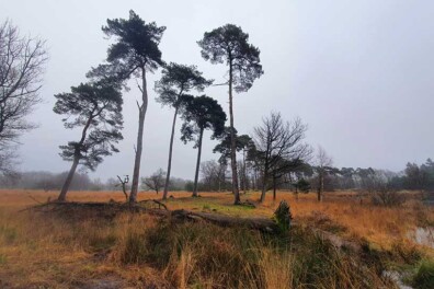 Wandeling van de maand: Trage Tocht Lennisheuvel