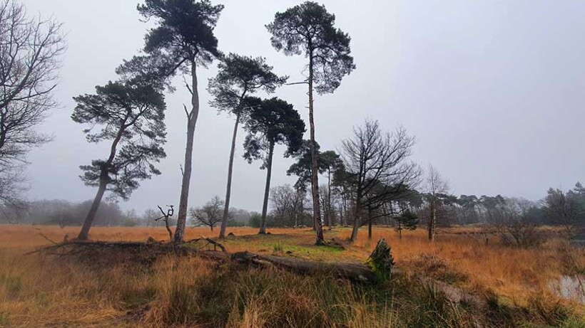 Wandeling van de maand: Trage Tocht Lennisheuvel