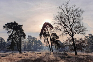 Wandeling van de maand: Trage Tocht Treekerduinen