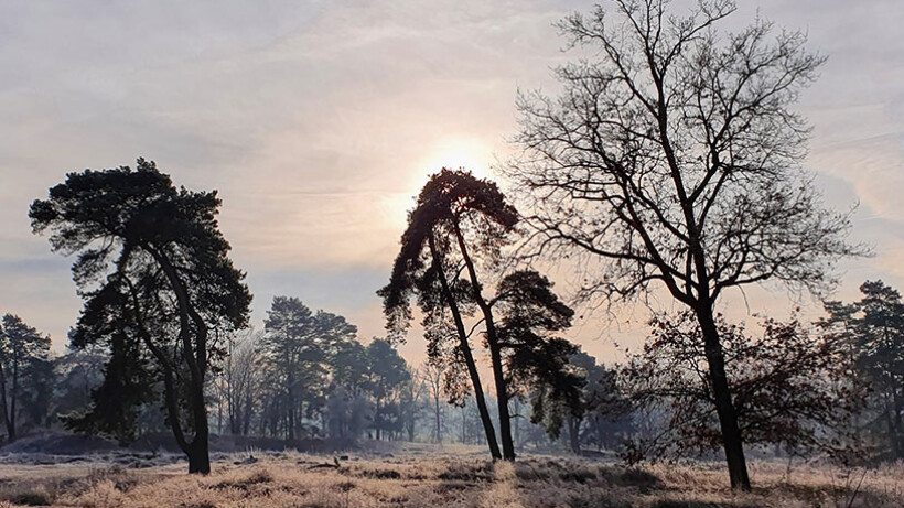 Wandeling van de maand: Trage Tocht Treekerduinen