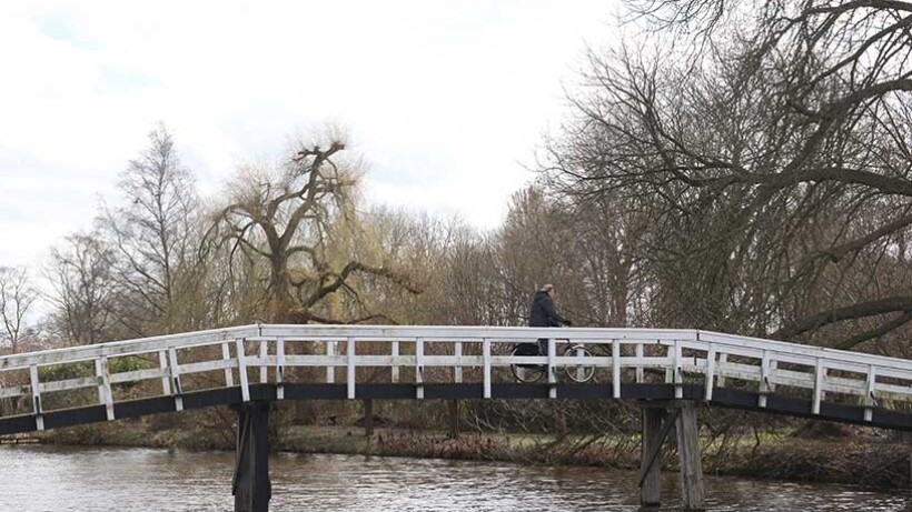 Wandeling: Ganzenparadijs