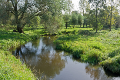 Wandeling van de maand: Groene Wissel Swalmen