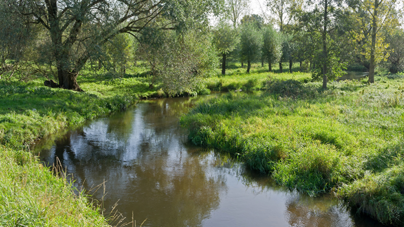 Wandeling van de maand: Groene Wissel Swalmen