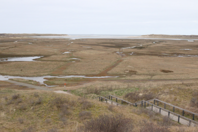 Wandeling: De wind maakt het mooier