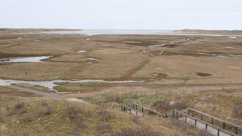 Wandeling: De wind maakt het mooier