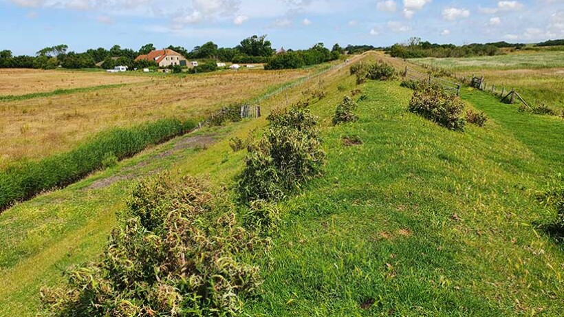 Wandeling van de maand: Trage Tocht Texel ’t Horntje