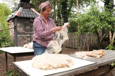 Schapenvachten vilten met vacht van eigen Drents Heideschaap