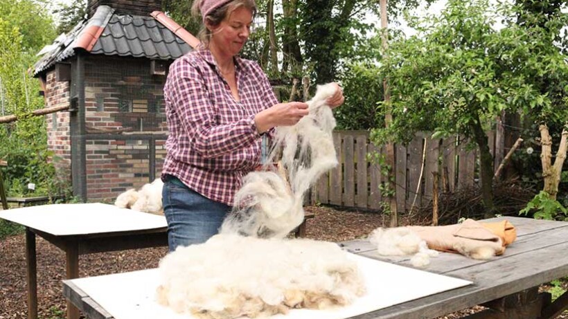 Schapenvachten vilten met vacht van eigen Drents Heideschaap